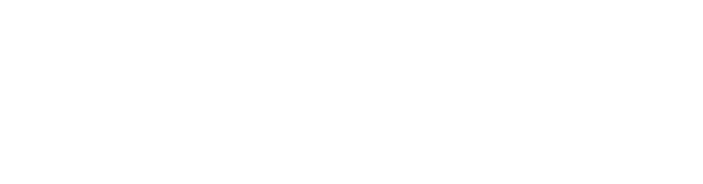 Kinesics Solutions Logo
